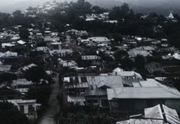 Related Image 5