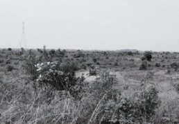 Related Image 3