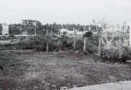Related Image 4