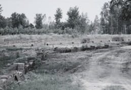 Related Image 1