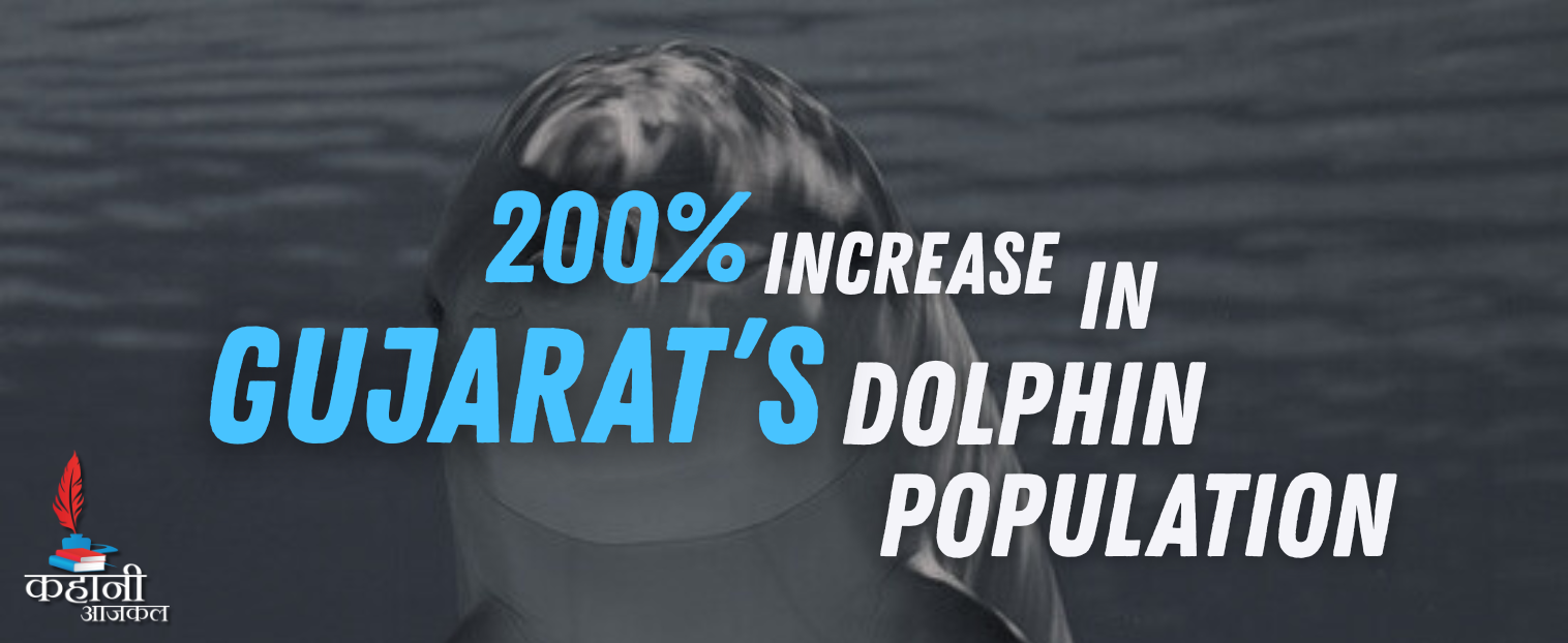 Gujarat's Dolphin Population Surges by 200% in Two Years